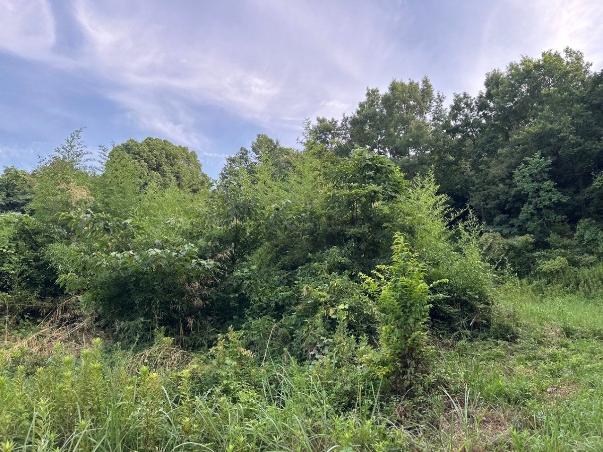 学校体育～跳び箱編～放課後等デイサービス・児童発達支援 みらいずジュニア・みらいずカレッジ