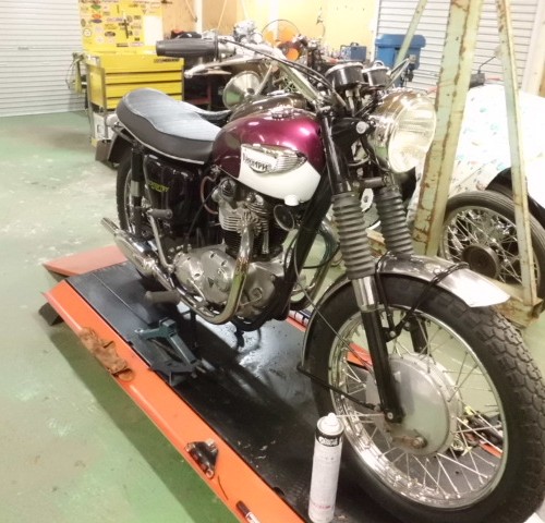 ハーレーダビッドソン 1952 Triumph 6T Thunderbird 中古車在庫No1689その他の車種入庫待ち モバイル版