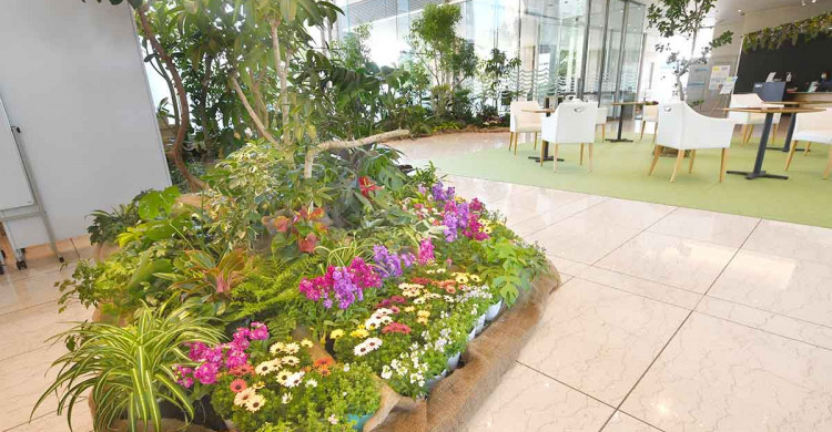 かながわ県民共済プラザビル20th記念神奈川県民共済生活協同組合