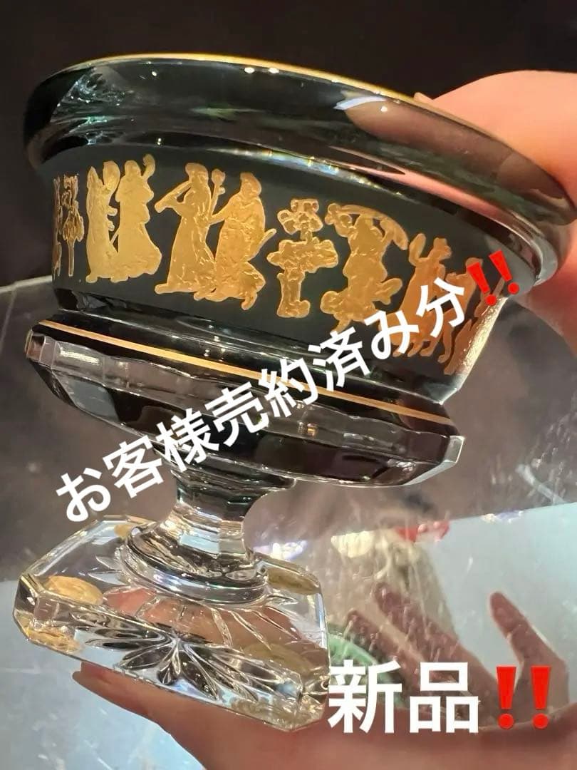 神奈川県のミヌエット 短足 男の子・2024 02 19生まれ・モフっとまんまる💛 クリーム&ホワイト 子猫ID：76968 子猫ブリーダーナビ