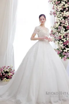 花嫁のためのビーチのウェディングドレス、ダブルショルダーカラー半袖レースのウェディングドレス