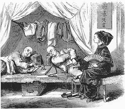 生活文化の世界史 茶の世界史③: 山武の世界史