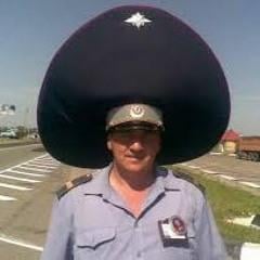 アメリカ合衆国の警察 - Wikipedia