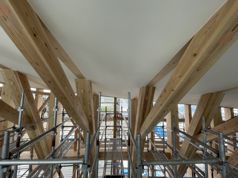 琵琶瑠璃 軽量日本製高級カーボンの折り畳み杖 滑りにくく手が痛くなりにくい杖 身長目安154cm～172cm男女兼用T1000 - 近江一文字 杖 ・ステッキの専門店