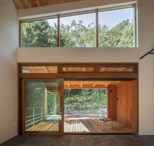 ヘーベシーベの魅力 column338