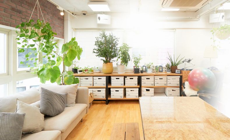 機能的なオフィスはレイアウトのルールで８割方つくれる 初心者でもプロっぽくできるオフィスレイアウト 第1回オフィスづくりのコツ アスクルみんなの仕事場