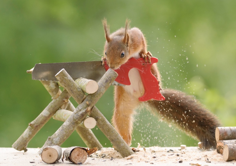 仕事で持ち歩く荷物が増えたからこそビジネスバッグは軽いのが一番！＆GP - Part 2