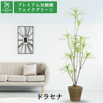 造花ドットコムのフェイクグリーン」のアイデア 900+ 件パキラ, 造花, グリーン