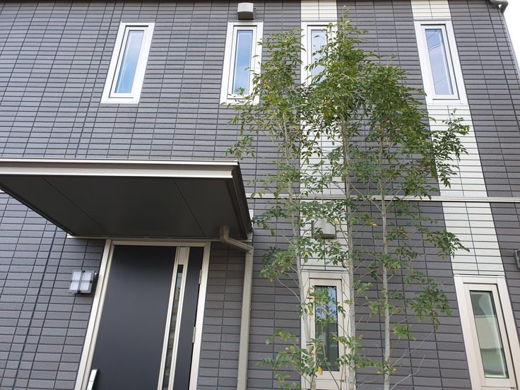 Web 内覧会玄関ポーチ: さるの家