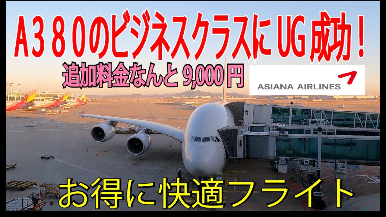 アシアナジャンボ 念願のアッパーデッキでビジネスクラスを満喫！ソウルから成田へ！OZ102 B747-400 HL7428NISSA LIFE