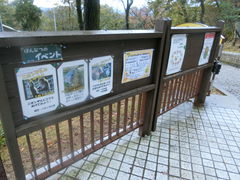 レスト有情のクチコミ一覧 - じゃらんnet