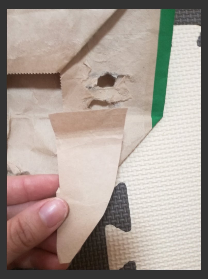 ハサミなしで「紙袋」のサイズを小さくする驚きの裏ワザ「折るだけで簡単！」「サイズがピッタリになる！」