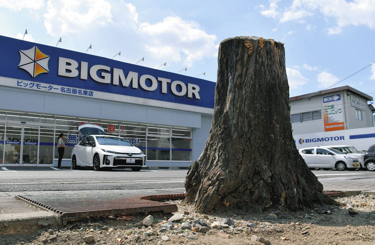 相次ぐ街路樹「不審枯れ」ビッグモーター店先、大阪は土壌調査へ - 産経ニュース