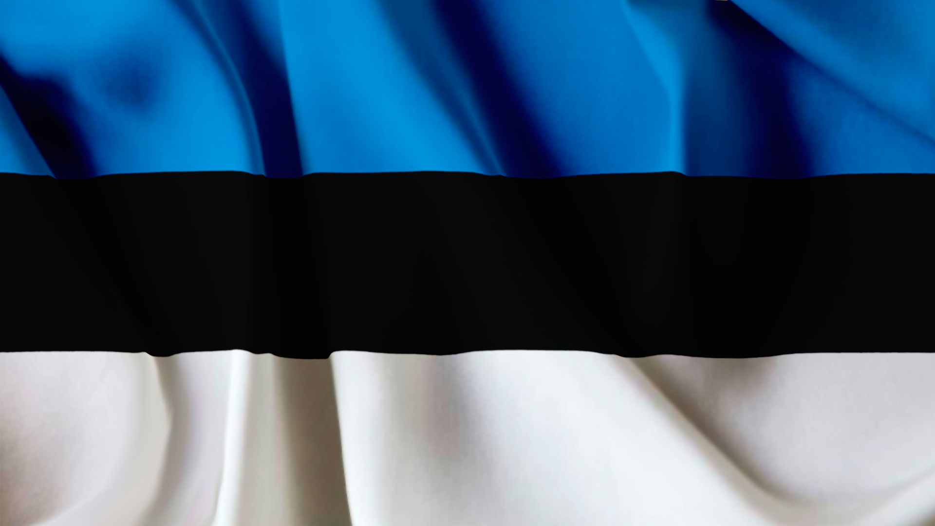 エストニアの国旗イラスト - No: 24424655無料イラスト・フリー素材なら「イラストAC」