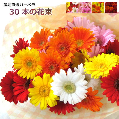 英語メッセージ文例集お祝い・感謝・応援の気持ちを伝える一言＆おすすめ18選Giftpedia byギフトモール&アニ