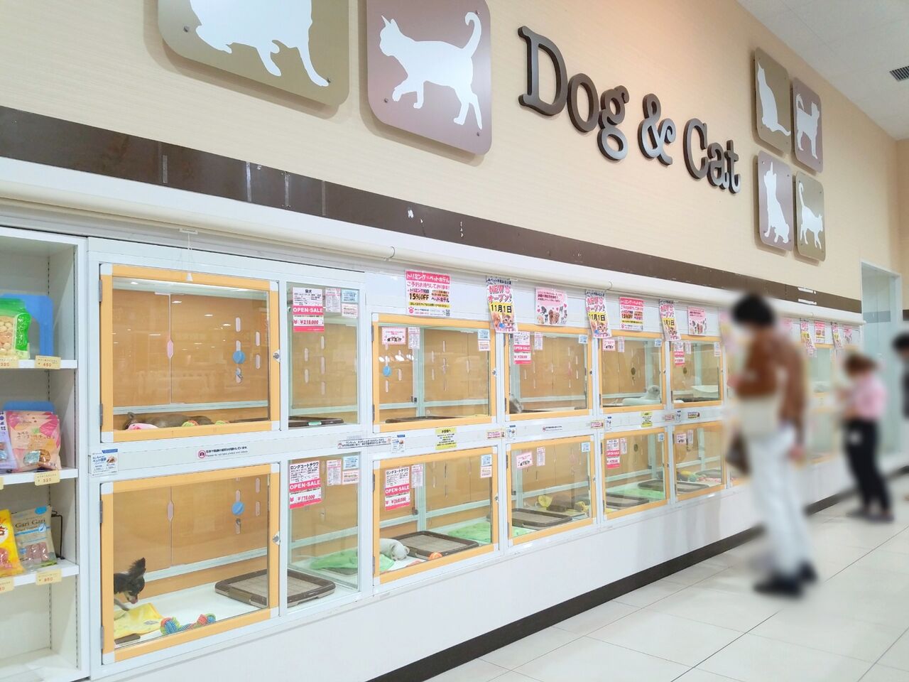 新着情報「無料相談会 開催！ ロイヤルホームセンター港南台店 」