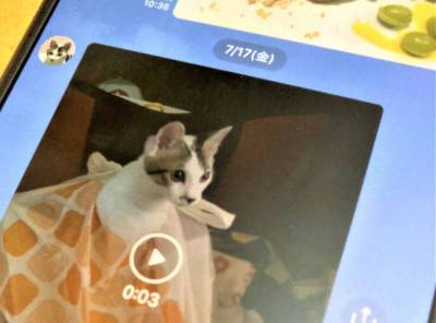 LINE 画像をアルバムに保存する方法リモートサポートサービス 解決支援サイト