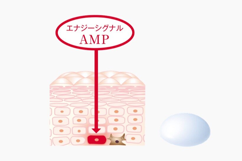 リジュブネイトエキスインナーシグナルの口コミおすすめ順101件LIPS