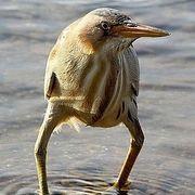 ピクセラより議決権行使でクオカード 2023年9月分やっぱり株主優待が好き