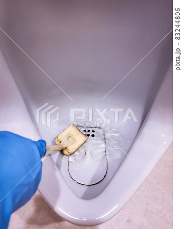 トイレ掃除できる男性って素敵！と言われる男性になる5つのステップ CaSy カジー家事代行サービス