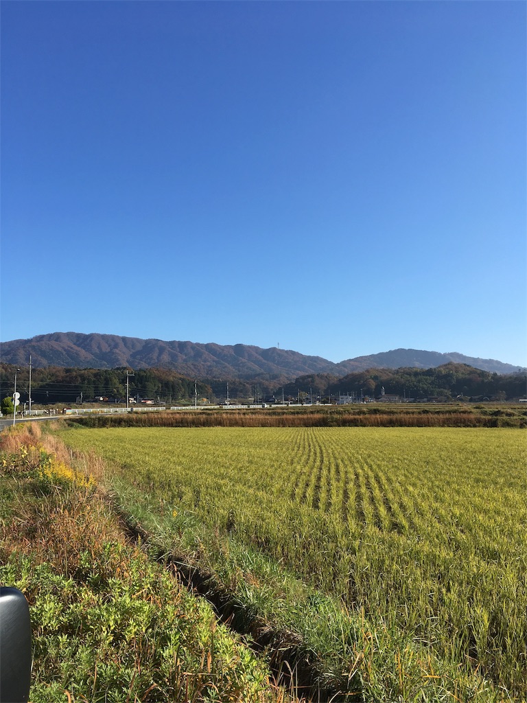 キャンプ場での薪拾いのしかた