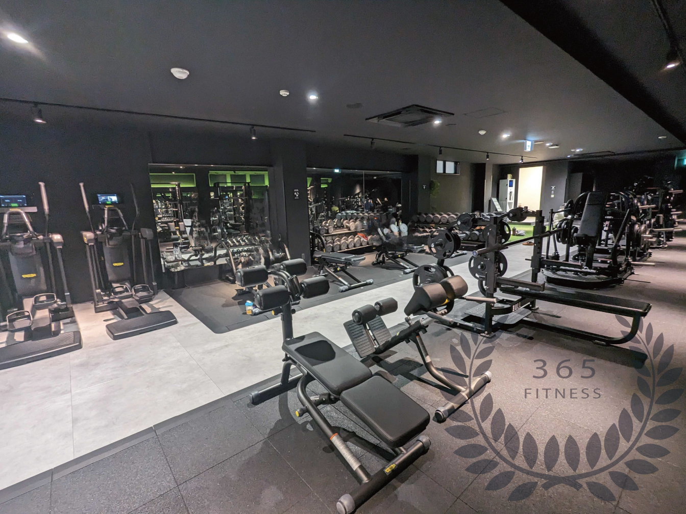 ジムレビュー エニタイムフィットネス 麹町店マッスルファシリティーズ