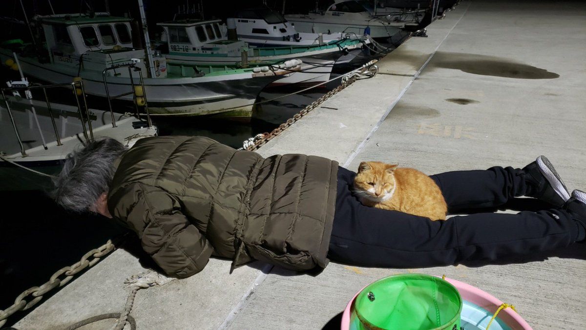 毛先の収まりが良い感じです。GROWTH HAIR