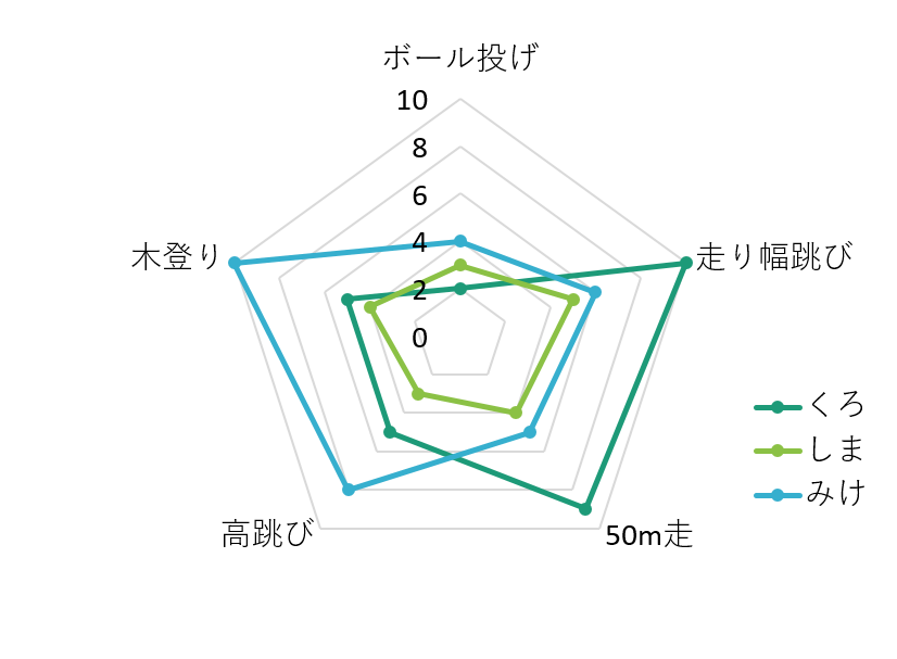 完全ガイド レーダーチャートとは？作り方から見方、活用事例までやさしく解説xGrapher