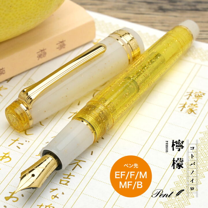 ペン先の種類と特長セーラー万年筆