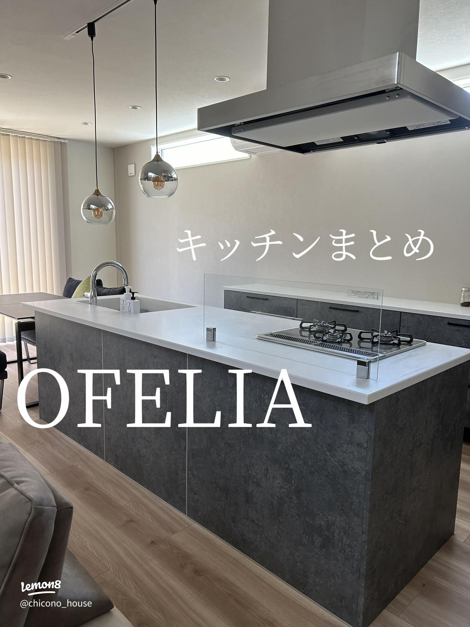 タカラスタンダード オフェリア Txu6301ct74TikTok