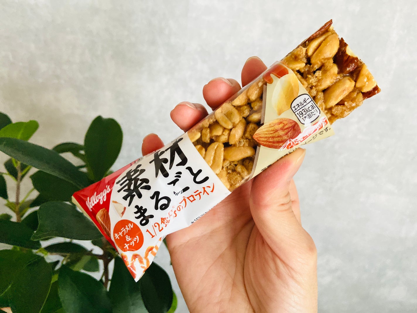 SBI・iシェアーズ・米国バランス 2資産均等型 愛称：まるっと米国SBI証券