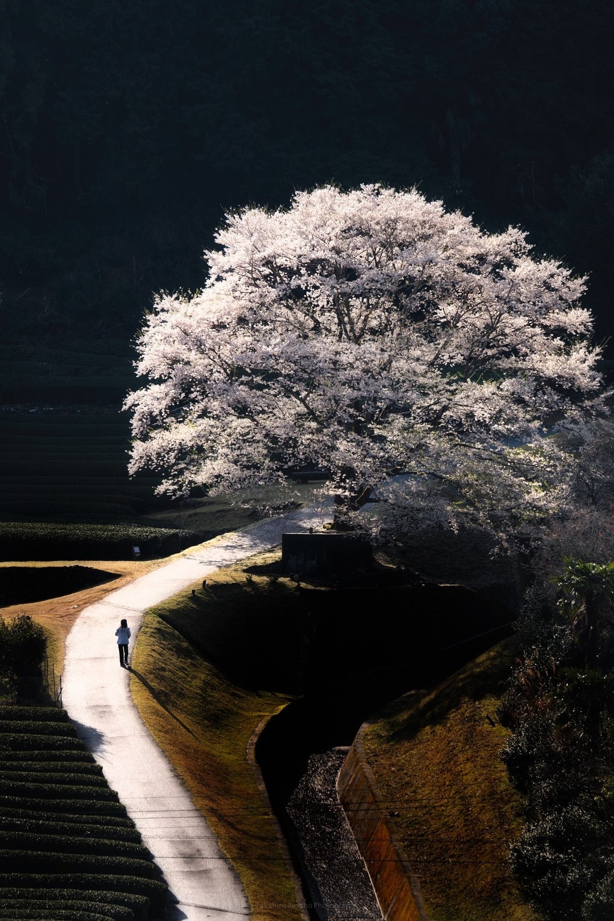 目地の種類と役割って??タイル施工に欠かせない職人の技。株式会社カツハラ 京都市伏見区のタイル施工専門会社