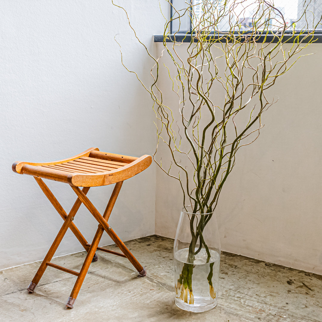 楽天市場 柳 の 枝の通販