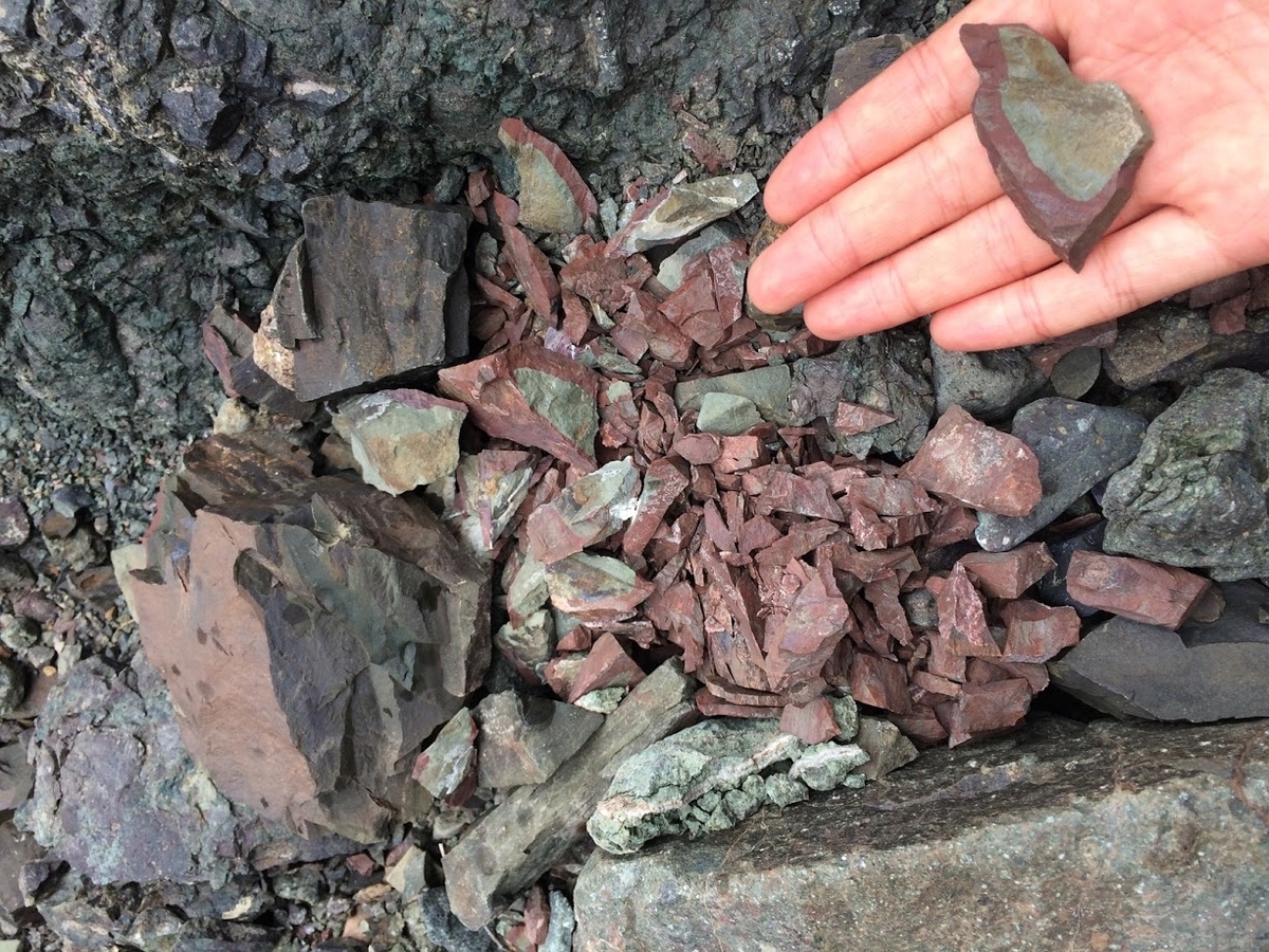 今日の人生３ いつもの場所で』益田ミリ著 : 読売新聞