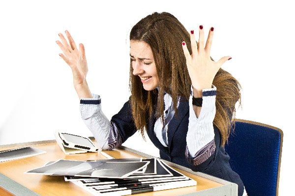 犬との楽しい一日を振り返って