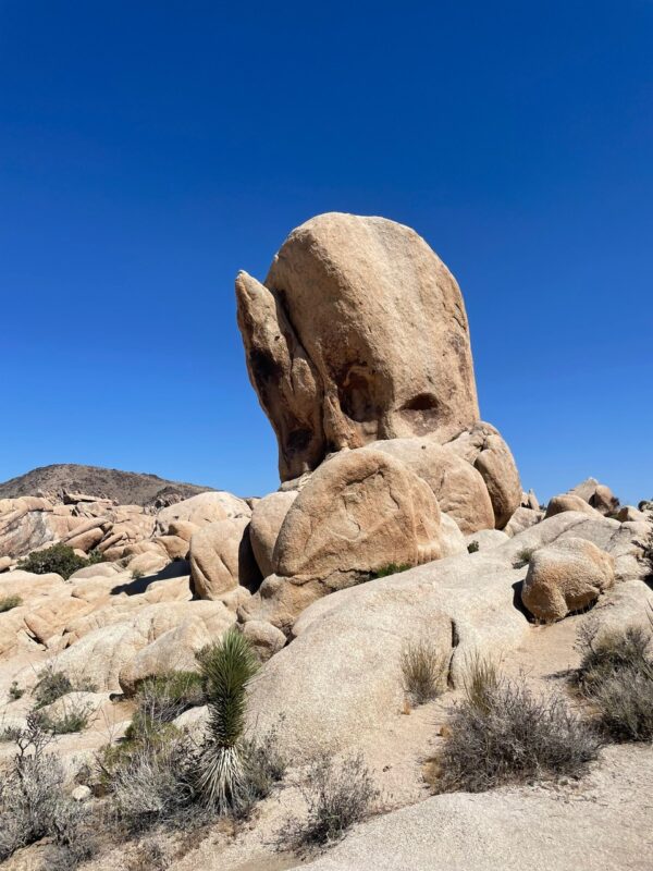 10 17 金 無料オンラインセミナー『なぜ、あなたのTikTok広告は失敗したのか？”CPA高騰”から脱却する「動画量産」×「最新アルゴリズム活用」リベンジ戦略』株式会社 ピアラのプレスリリース