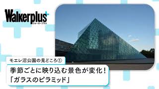 令和の大仏」モエレ沼公園ガラスのピラミッドへ 札幌市東区- ていねブログ